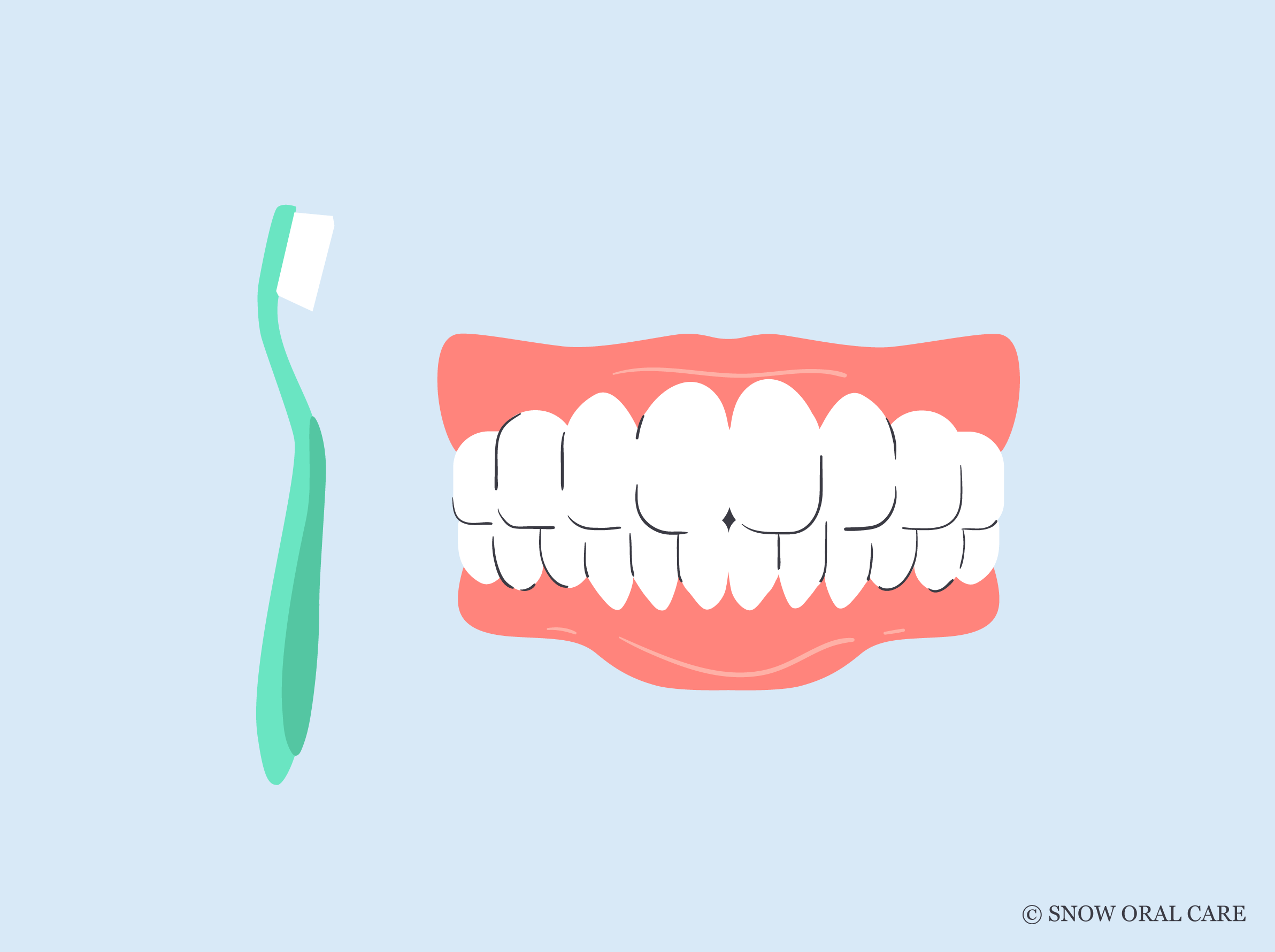 Best Toothbrush for Receding Gums SNOW® Oral Care