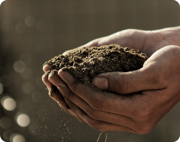 3. Vegan, clean, and mother nature approved! image