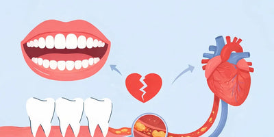 How Oral Health Impacts Heart Health: Understanding the Critical Connection