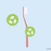 are bamboo toothbrushes good for the environment