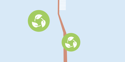 are bamboo toothbrushes good for the environment