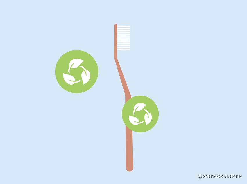 are bamboo toothbrushes good for the environment