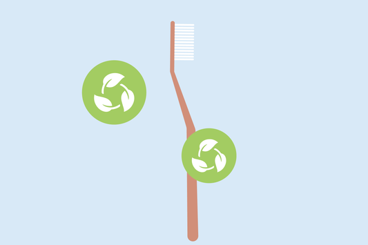 are bamboo toothbrushes good for the environment
