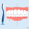 are soft toothbrushes good