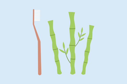 Bamboo Toothbrush Benefits
