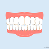 best toothbrush for plaque