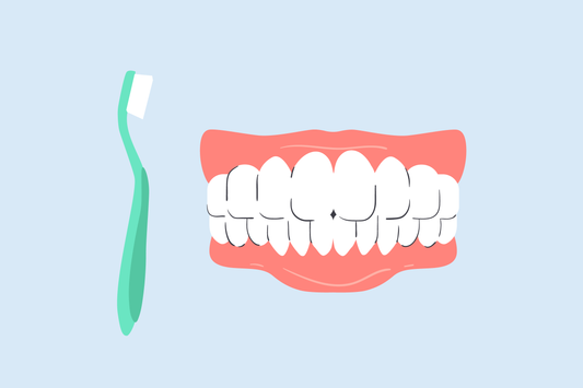 best toothbrush for receding gums