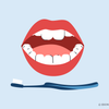 best toothbrush for wisdom teeth