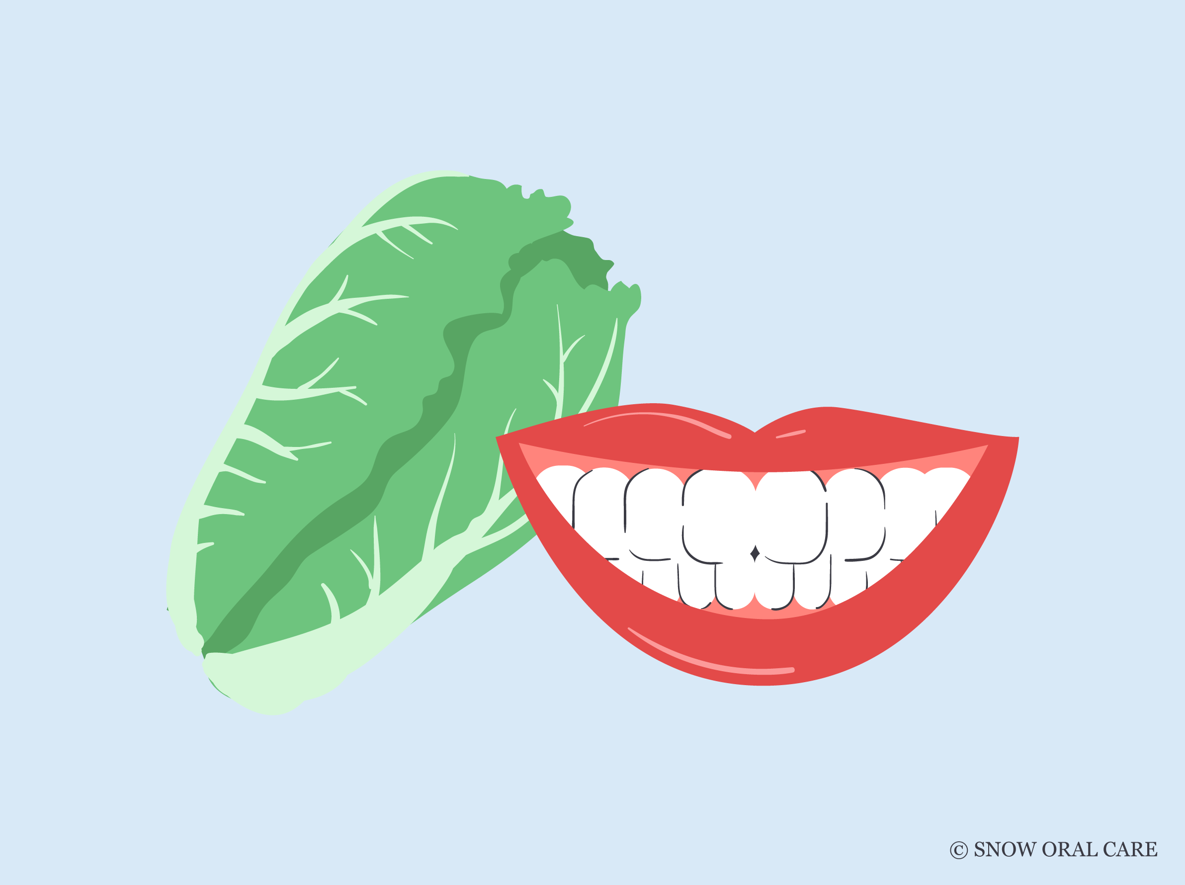 Can I Eat Lettuce After Teeth Whitening SNOW Oral Care can-i-eat-lettuce-after-teeth-whitening-snow-oral-care