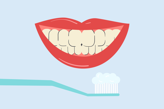 can your teeth become white again by brushing 
