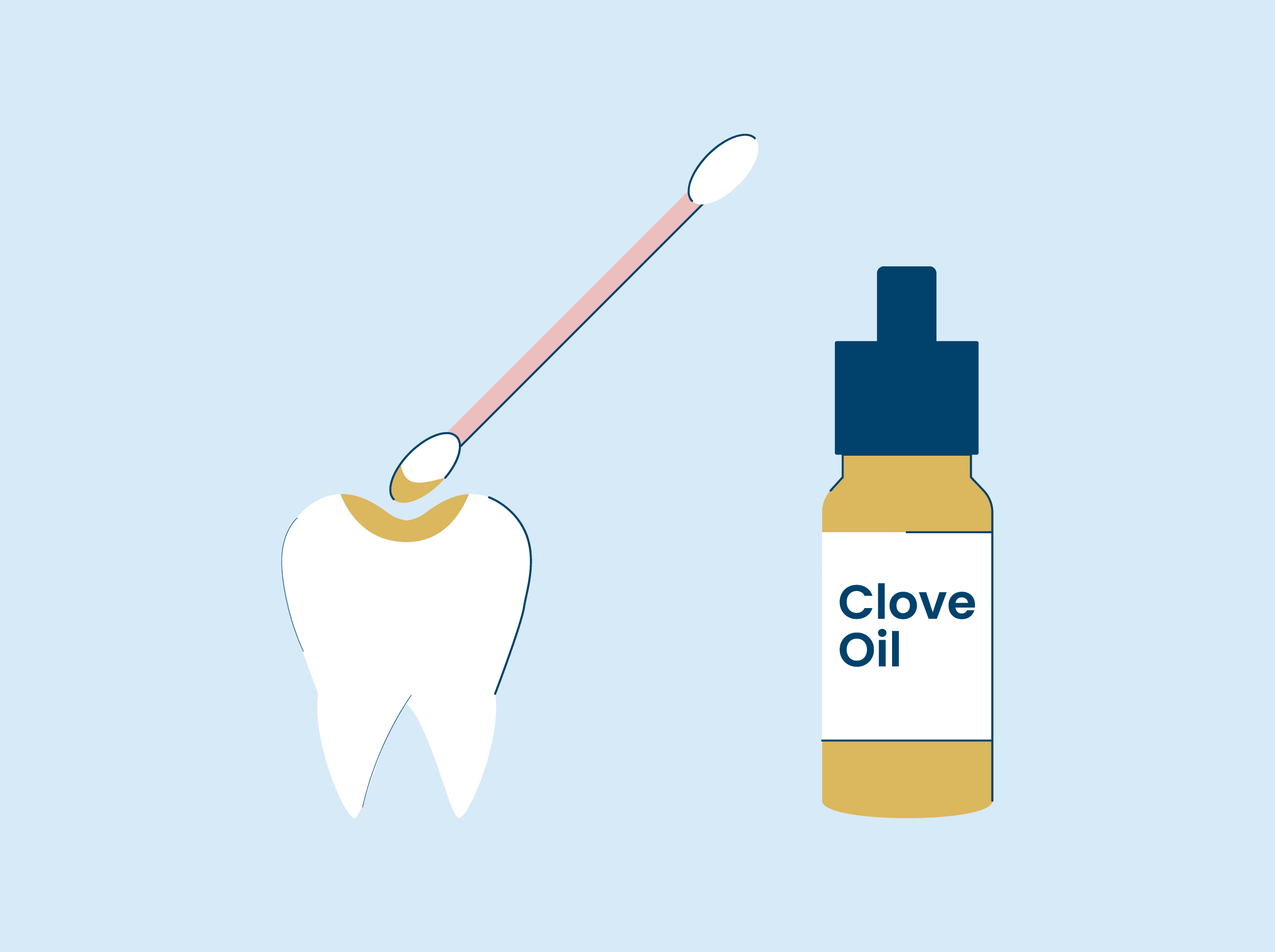 Clove Oil for Toothache Relief [Does it Really Work]