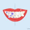 do you use normal toothpaste after purple toothpaste 