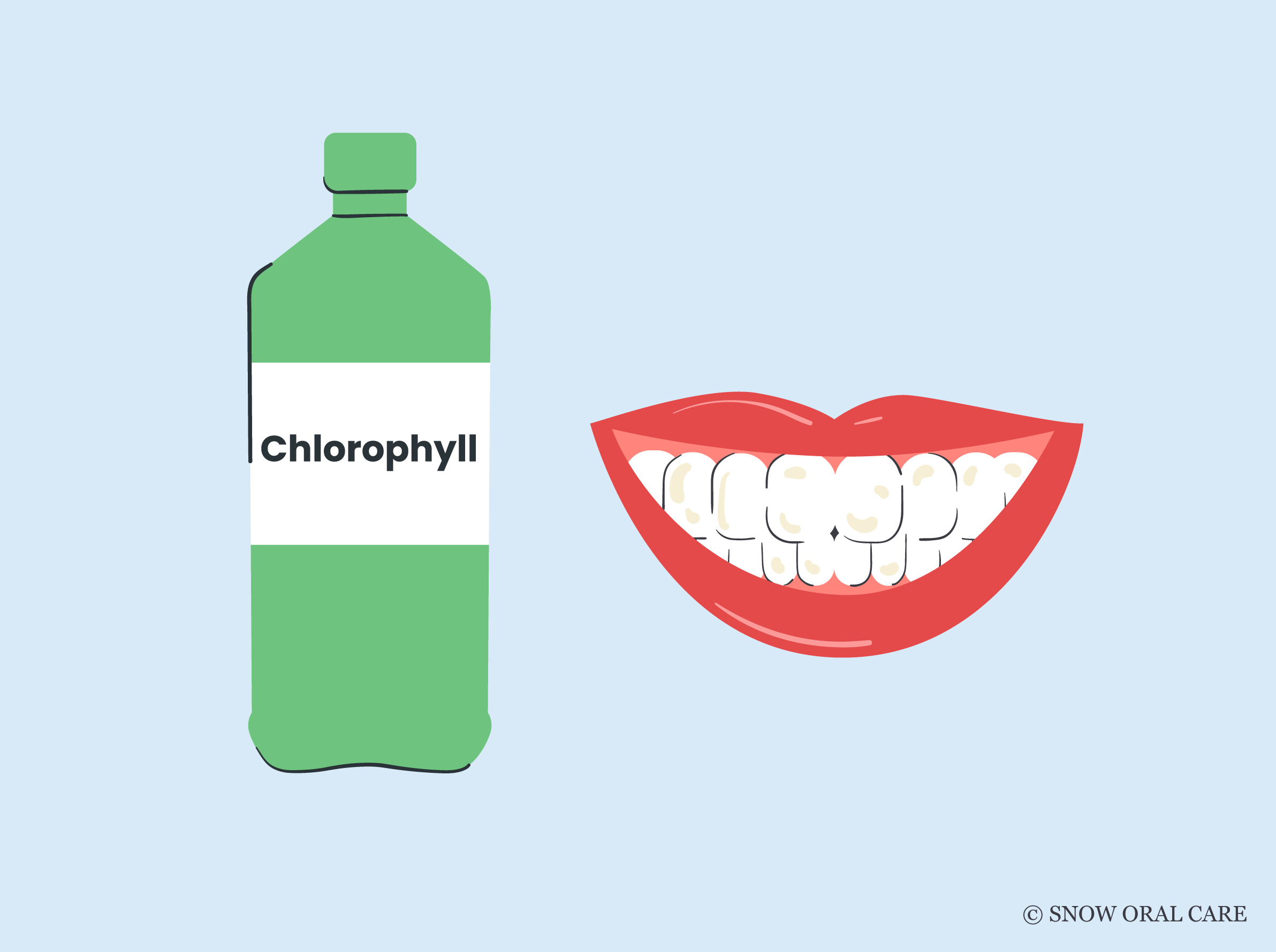 Does Chlorophyll Stain Teeth? SNOW® Oral Care