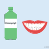 does chlorophyll stain teeth