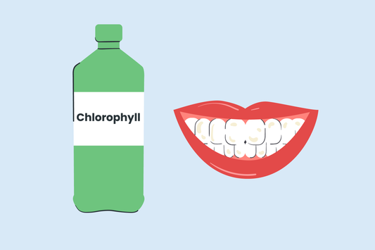 does chlorophyll stain teeth