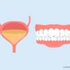 does urine whiten teeth 