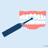 electric toothbrush for dentures
