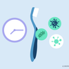 how long do viruses live on toothbrushes