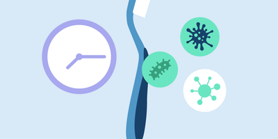 how long do viruses live on toothbrushes