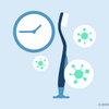how long does herpes live on toothbrush