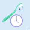 how long does it take for a toothbrush to dry