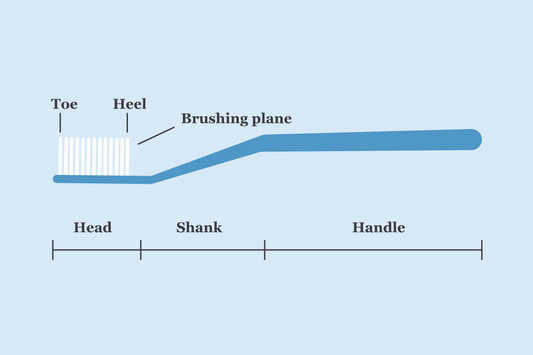 parts of a toothbrush