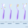 why change toothbrush every 3 months
