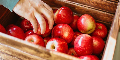 Tooth decay treatment options