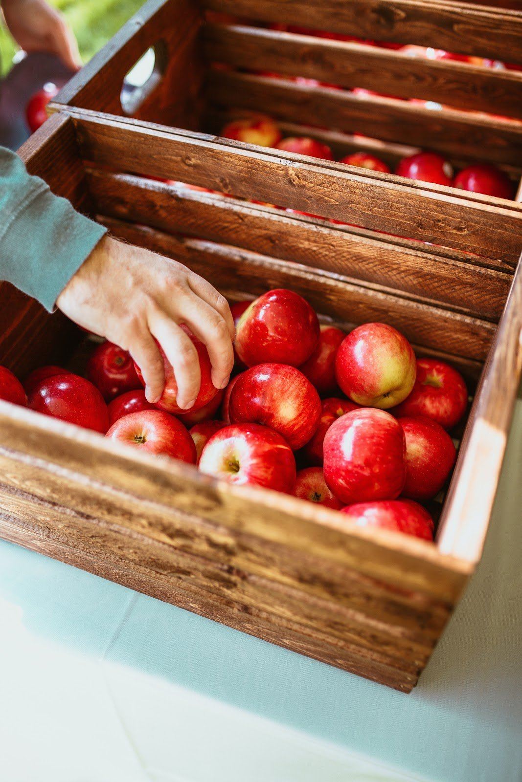Tooth decay treatment options