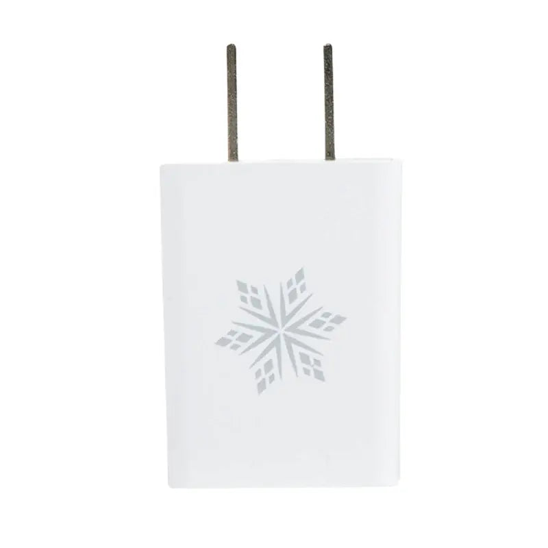 SNOW® Toothbrush Charger: Travel-Friendly Power Adapter That Keeps Your Snow Devices Powered Wherever You Go